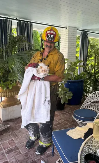 Пожарный с кошкой Кары Делевинь