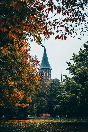 Кафедральный собор/Фото Yura Forrat/Pexels