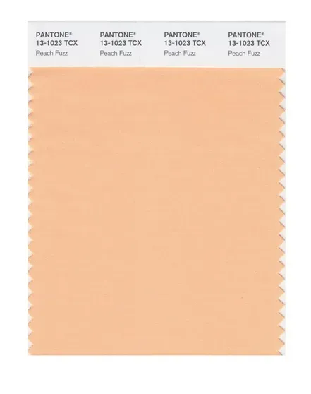 Цвет 13-1023 Peach Fuzz